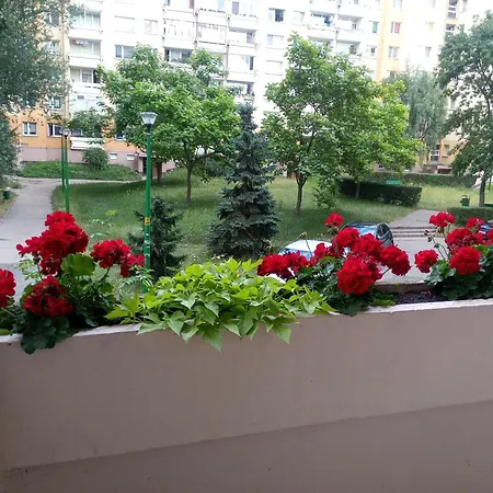Astra Blisko Stadionu Wroclaw